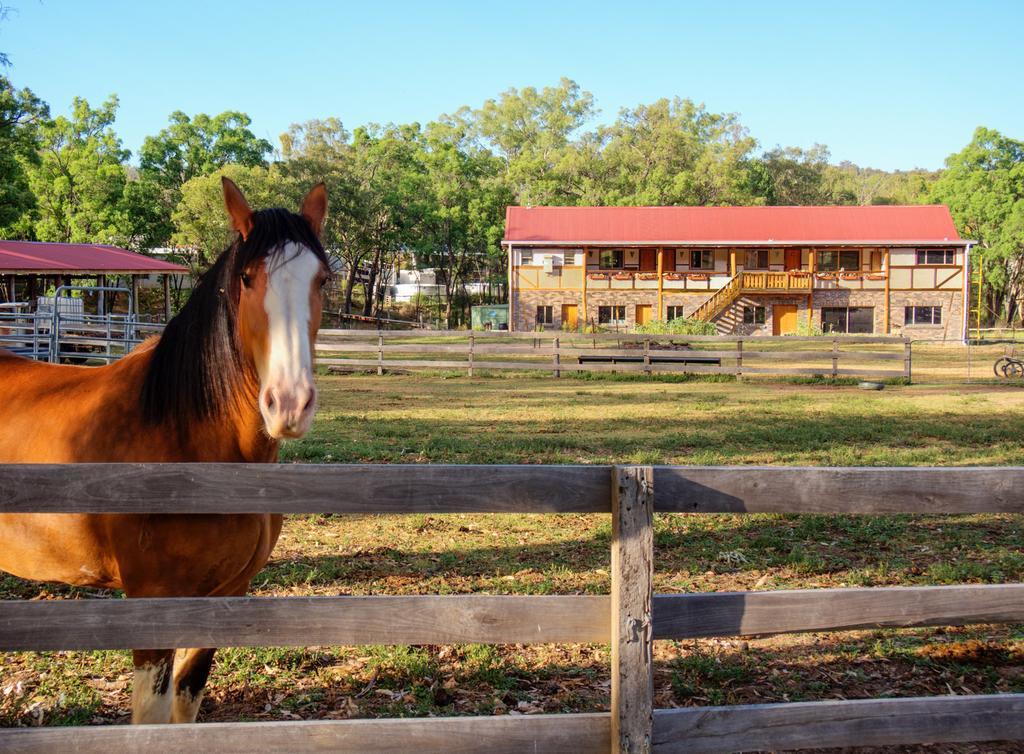 Pilliga Pottery Creative Farmstay Кунабарабран Номер фото